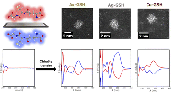 Graphical abstract: Metal–ligand interface effect in the chirality transfer from l- and d-glutathione to gold, silver and copper nanoparticles