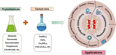 Graphical abstract: Recent advances in biological, photocatalytic and adsorption applications of biosynthesized CeO2 nanoparticles