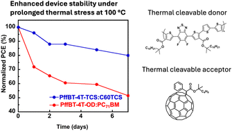 Graphical abstract: Enhancing long-term morphological stability in BHJ organic solar cells through thermocleavable sidechains under continuous thermal stress