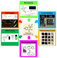 Graphical abstract: Synthesis of versatile fluorescent isoquinolinium salts and their applications
