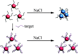 Graphical abstract: Self-aggregation of oligonucleotide-functionalized gold nanoparticles and its applications for highly sensitive detection of DNA