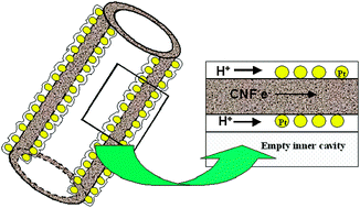 Graphical abstract: High aspect ratio nanoscale multifunctional materials derived from hollow carbon nanofiber by polymer insertion and metal decoration