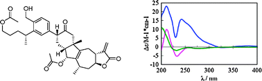 Graphical abstract: Neojaponicone A, a bioactive sesquiterpene lactone dimer with an unprecedented carbon skeleton from Inula japonica