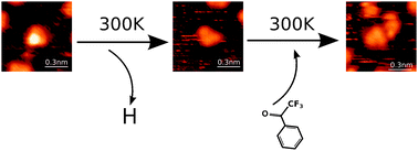 Graphical abstract: Weak interactions in the assembly of strongly chemisorbed molecules