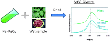 Graphical abstract: Methodological artefacts in the XANES analysis of hexa-coordinated pentavalent arsenic
