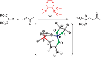 Graphical abstract: Phosphine-boronates: efficient bifunctional organocatalysts for Michael addition