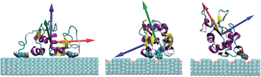Graphical abstract: Amphiphilic amino acids: a key to adsorbing proteins to nanopatterned surfaces?
