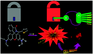 Graphical abstract: A rhodamine derivative as a “lock” and SCN− as a “key”: visible light excitable SCN− sensing in living cells