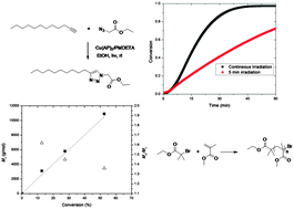 Graphical abstract: A novel copper containing photoinitiator, copper(ii) acylphosphinate, and its application in both the photomediated CuAAC reaction and in atom transfer radical polymerization