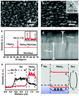 Graphical abstract: In situ growth of a MoSe2/Mo counter electrode for high efficiency dye-sensitized solar cells