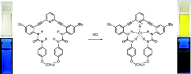 Graphical abstract: Synthesis and solid-state structures of a macrocyclic receptor based on the 2,6-bis(2-anilinoethynyl)pyridine scaffold