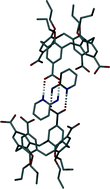 Graphical abstract: Salt formation affects the conformational and assembly properties of p-carboxylatocalix[4]arenes