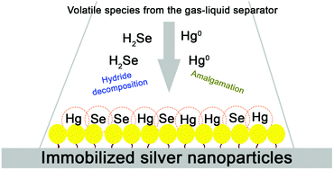 Graphical abstract: Silver nanoparticle-assisted preconcentration of selenium and mercury on quartz reflectors for total reflection X-ray fluorescence analysis