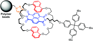 Graphical abstract: ‘Click’ functionalised polymer resins: a new approach to the synthesis of surface attached bipyridinium and naphthalene diimide [2]rotaxanes