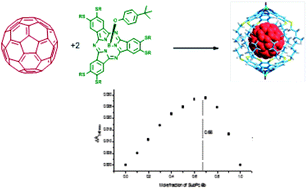 Graphical abstract: Trapping fullerenes with jellyfish-like subphthalocyanines