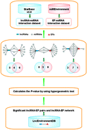 Graphical abstract: A computational frame and resource for understanding the lncRNA-environmental factor associations and prediction of environmental factors implicated in diseases
