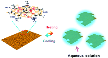 Graphical abstract: Thermosensitive hyperbranched polyethylenimine partially substituted with N-isopropylacrylamide monomer: thermodynamics and use in developing a thermosensitive graphene composite