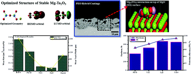 Graphical abstract: Multi-functional ceramic hybrid coatings on biodegradable AZ31 Mg implants: electrochemical, tribological and quantum chemical aspects for orthopaedic applications