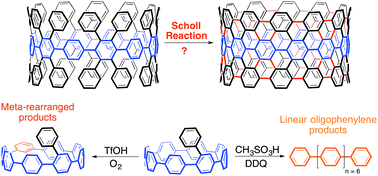 Graphical abstract: Towards pi-extended cycloparaphenylenes as seeds for CNT growth: investigating strain relieving ring-openings and rearrangements