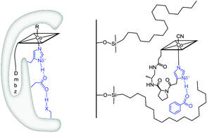 Graphical abstract: Modulating the cobalt redox potential through imidazole hydrogen bonding interactions in a supramolecular biomimetic protein-cofactor model