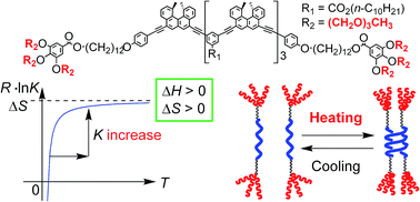 Graphical abstract: “Inverse” thermoresponse: heat-induced double-helix formation of an ethynylhelicene oligomer with tri(ethylene glycol) termini