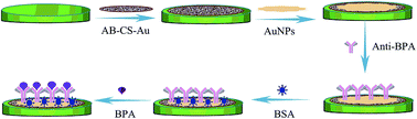 Graphical abstract: A label-free electrochemical bisphenol A immunosensor based on chlorogenic acid as a redox probe