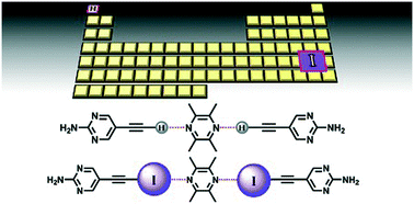 Graphical abstract: Ethynyl hydrogen bonds and iodoethynyl halogen bonds: a case of synthon mimicry