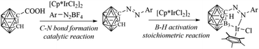 Graphical abstract: Efficient synthesis of carborane azo derivatives and their reactivity