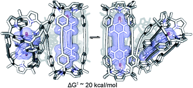 Graphical abstract: A chiral “Siamese-Twin” calix[4]pyrrole tetramer