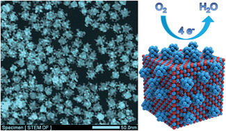 Graphical abstract: l-Glutamic acid derived PtPd@Pt core/satellite nanoassemblies as an effectively cathodic electrocatalyst