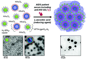 Graphical abstract: Performance of point-of-care diagnosis of AIDS: label-free one-step-immunoassay vs. lateral flow assay