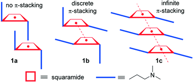 Graphical abstract: Polymorphism in secondary squaramides: on the importance of π-interactions involving the four membered ring