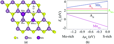 Graphical abstract: Structural stability and magnetic-exchange coupling in Mn-doped monolayer/bilayer MoS2