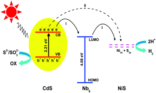 Graphical abstract: Biomolecule-mediated hydrothermal synthesis of polyoxoniobate–CdS nanohybrids with enhanced photocatalytic performance for hydrogen production and RhB degradation