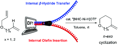 Graphical abstract: The mechanism and regioselectivities of (NHC)nickel(ii)hydride-catalyzed cycloisomerization of dienes: a computational study