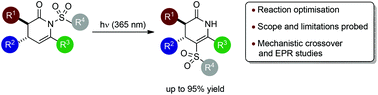 Graphical abstract: N- to C-sulfonyl photoisomerisation of dihydropyridinones: a synthetic and mechanistic study