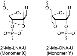 Graphical abstract: Novel conformationally constrained 2′-C-methylribonucleosides: synthesis and incorporation into oligonucleotides