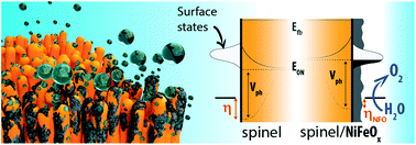 Graphical abstract: Evaluating spinel ferrites MFe2O4 (M = Cu, Mg, Zn) as photoanodes for solar water oxidation: prospects and limitations