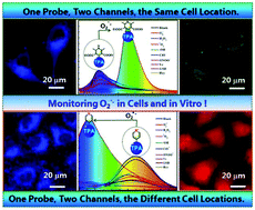 Graphical abstract: Two aggregation-induced emission (AIE)-active reaction-type probes: for real-time detecting and imaging of superoxide anions