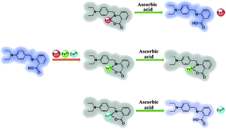 Graphical abstract: A highly selective and instantaneously responsive Schiff base fluorescent sensor for the “turn-off” detection of iron(iii), iron(ii), and copper(ii) ions