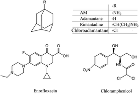 Graphical abstract: Indirect competitive ELISA and colloidal gold-based immunochromatographic strip for amantadine detection in animal-derived foods