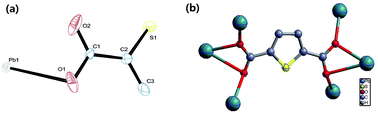 Graphical abstract: Phosphorescence emission and fine structures observed respectively under ambient conditions and at ca. 55 K in a coordination polymer of lead(ii)-thiophenedicarboxylate