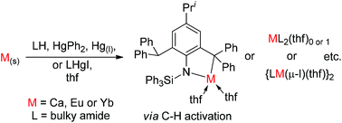 Graphical abstract: Redox transmetallation approaches to the synthesis of extremely bulky amido-lanthanoid(ii) and -calcium(ii) complexes