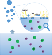 Graphical abstract: Emerging investigator series: exploring the surface properties of aqueous aerosols coated with mixed surfactants