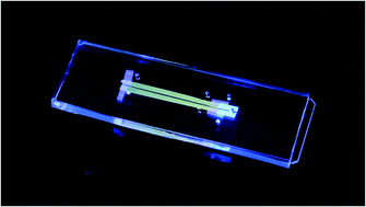 Graphical abstract: Diffusiophoretic exclusion of colloidal particles for continuous water purification