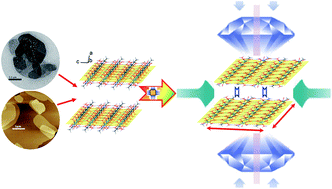 Graphical abstract: Negative area compressibility of a hydrogen-bonded two-dimensional material