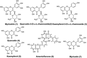 Graphical abstract: Preparative separation of flavonoid glycosides and flavonoid aglycones from the leaves of Platycladus orientalis by REV-IN and FWD-IN high-speed counter-current chromatography