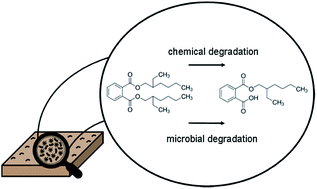 Graphical abstract: Degradation of phthalate esters in floor dust at elevated relative humidity