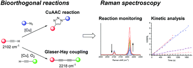 Graphical abstract: Kinetic analysis of bioorthogonal reaction mechanisms using Raman microscopy