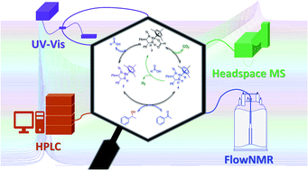 Graphical abstract: Insight into catalyst speciation and hydrogen co-evolution during enantioselective formic acid-driven transfer hydrogenation with bifunctional ruthenium complexes from multi-technique operando reaction monitoring